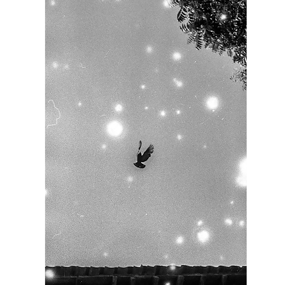 Maria Denise Dessimoz / PhotoArtDoc 2026